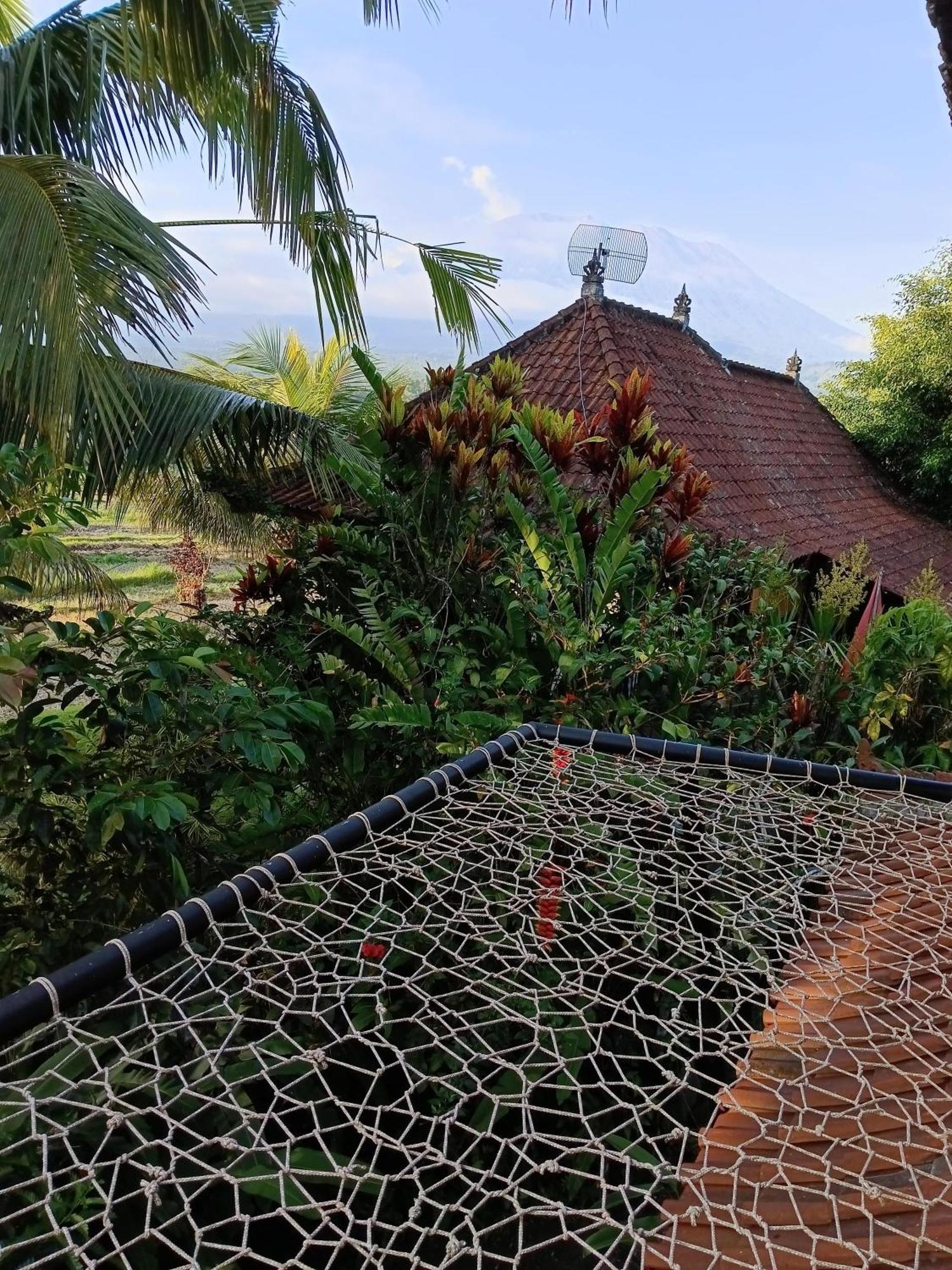 Great Mountain Views Villa Resort Selat Extérieur photo