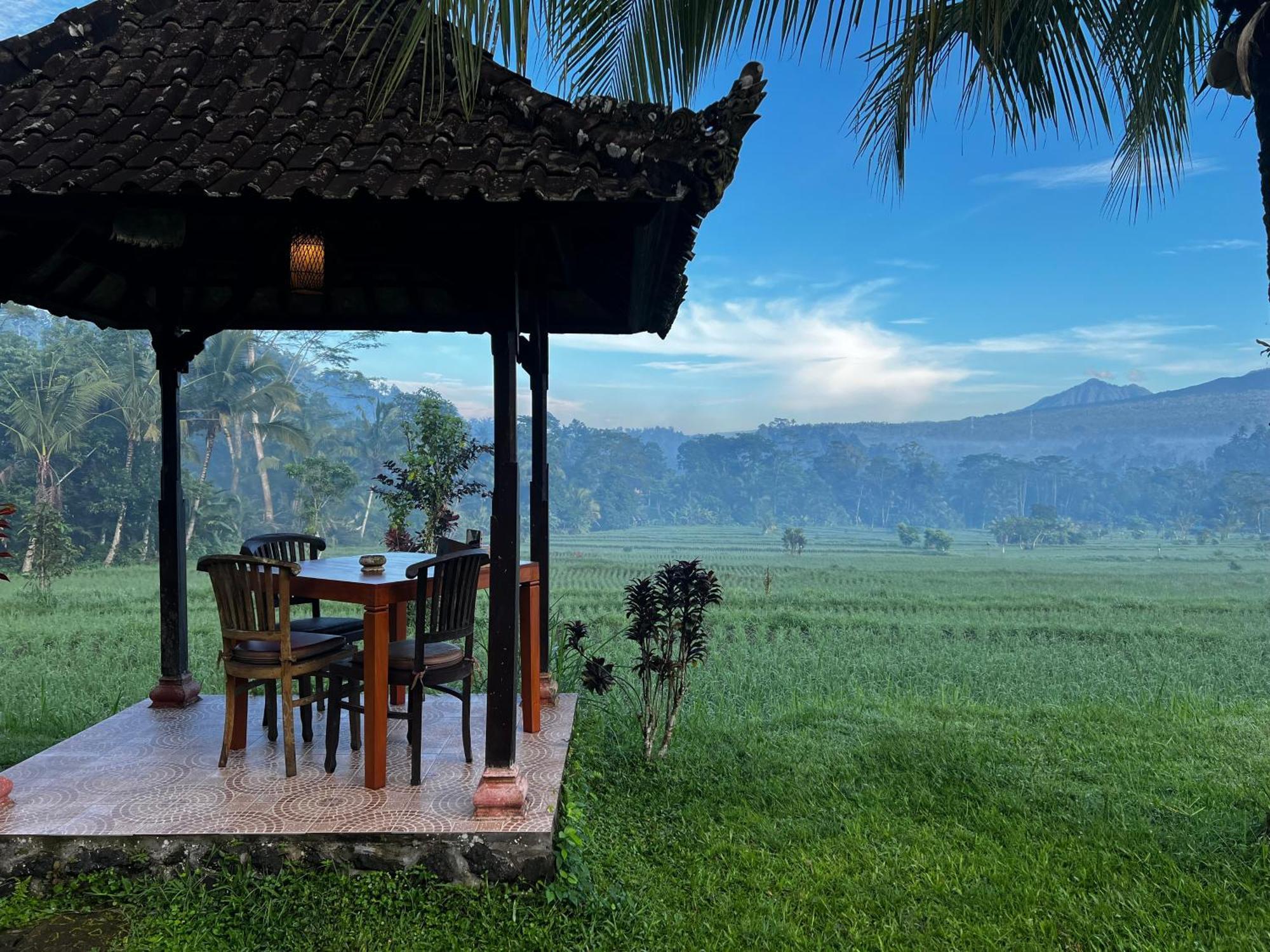 Great Mountain Views Villa Resort Selat Extérieur photo