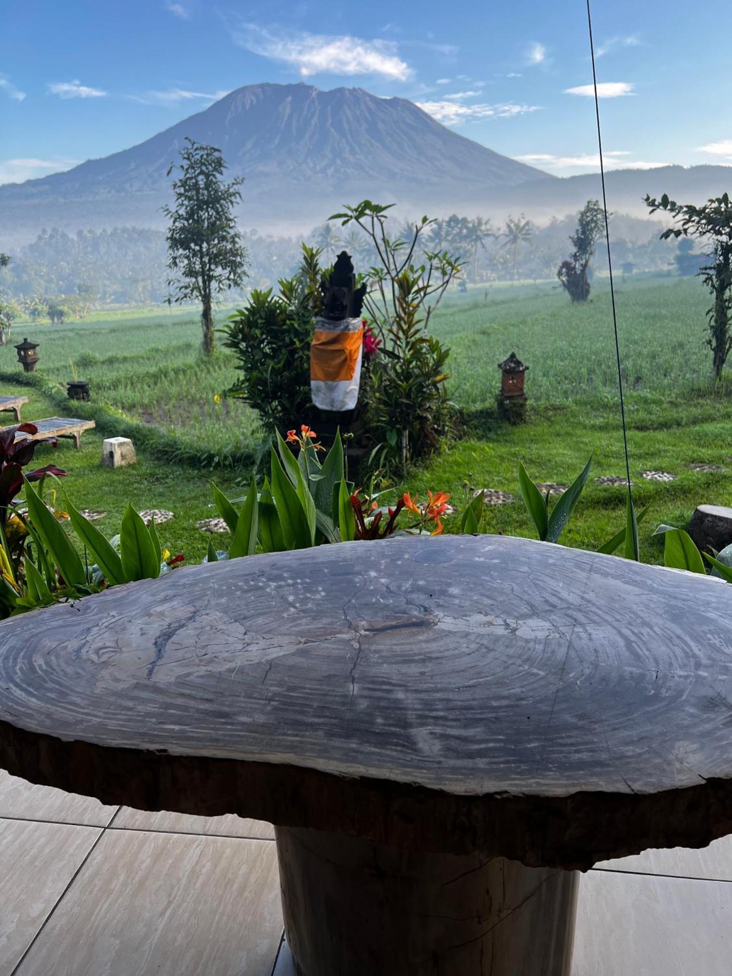 Great Mountain Views Villa Resort Selat Extérieur photo