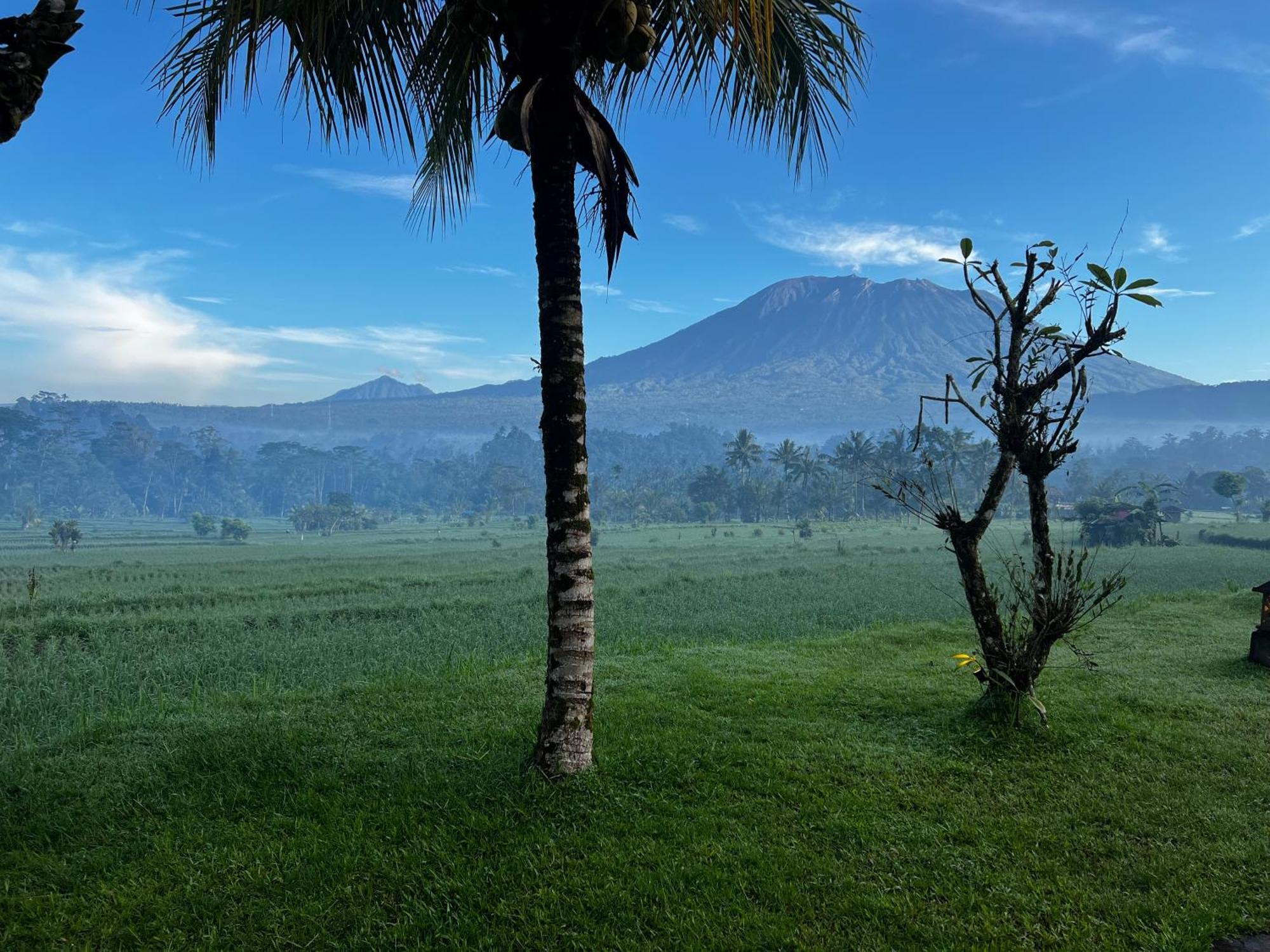 Great Mountain Views Villa Resort Selat Extérieur photo