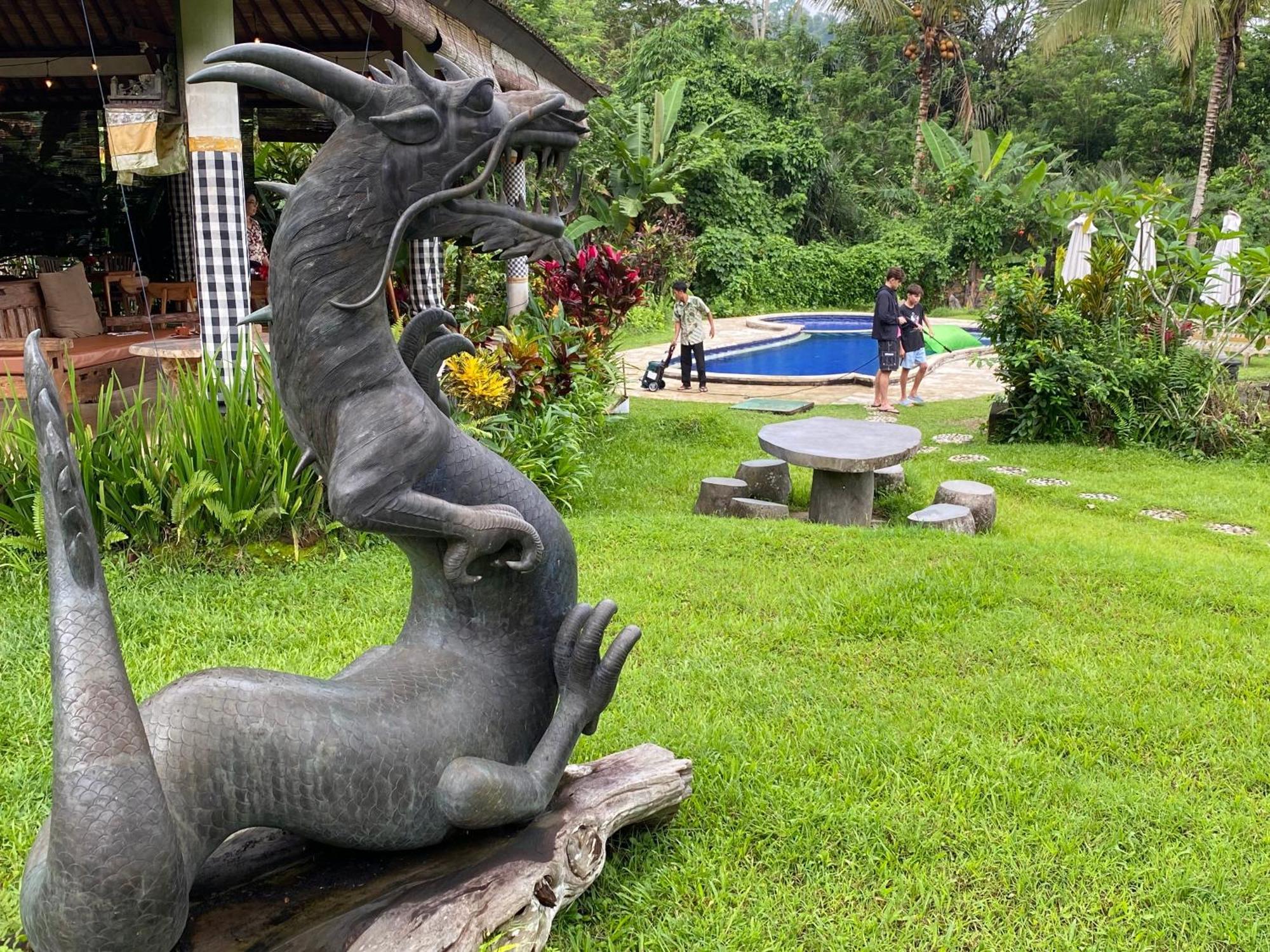 Great Mountain Views Villa Resort Selat Extérieur photo